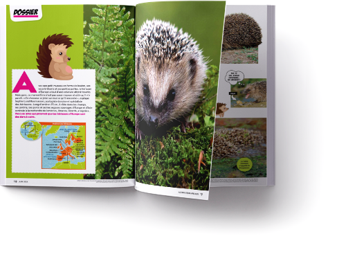 doublepage National Geographic Kids